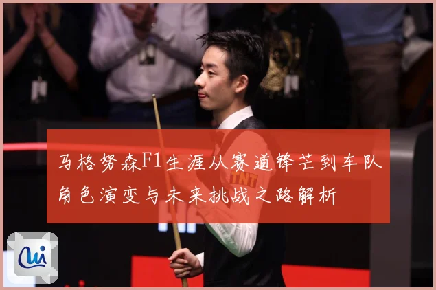 马格努森F1生涯从赛道锋芒到车队角色演变与未来挑战之路解析
