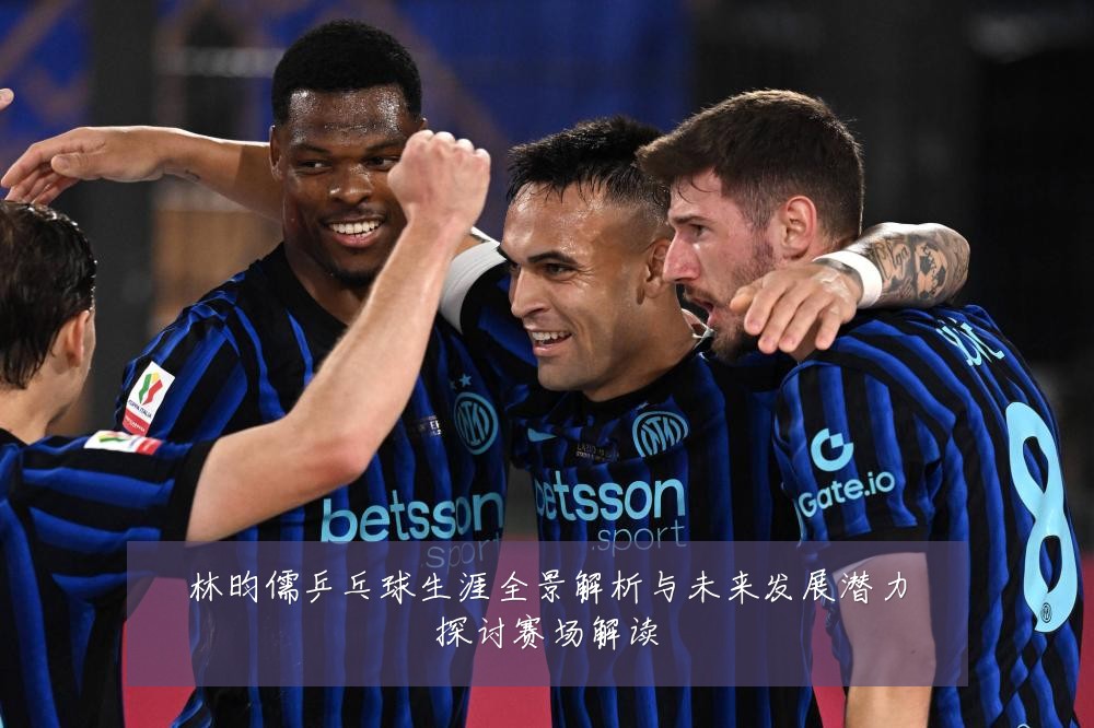 林昀儒乒乓球生涯全景解析与未来发展潜力探讨赛场解读