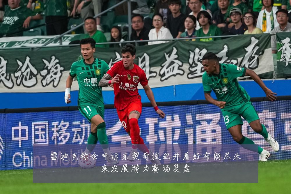 雷迪克称会申诉东契奇技犯并看好布朗尼未来发展潜力赛场复盘